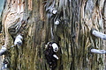 DSC02619 - Bernhard Saalfeld