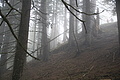 DSC02621 - Bernhard Saalfeld