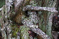 DSC02622 - Bernhard Saalfeld