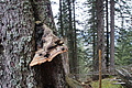 DSC02624 - Bernhard Saalfeld