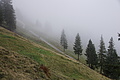 DSC02626 - Bernhard Saalfeld
