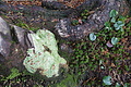 DSC02628 - Bernhard Saalfeld