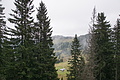 DSC02629 - Bernhard Saalfeld