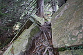 DSC02630 - Bernhard Saalfeld