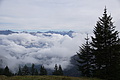 DSC02645 - Bernhard Saalfeld