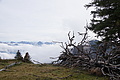 DSC02649 - Bernhard Saalfeld