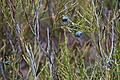 DSC02654 - Bernhard Saalfeld