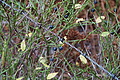 DSC02656 - Bernhard Saalfeld