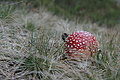 DSC02663 - Bernhard Saalfeld
