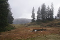 DSC02665 - Bernhard Saalfeld