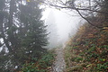 DSC02669 - Bernhard Saalfeld