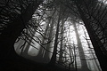 DSC02674 - Bernhard Saalfeld