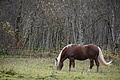 DSC02686 - Bernhard Saalfeld