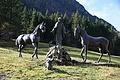 DSC02691 - Bernhard Saalfeld