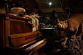DSC02700 - Bernhard Saalfeld
