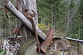 DSC02709 - Bernhard Saalfeld