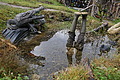 DSC02718 - Bernhard Saalfeld