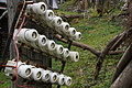 DSC02719 - Bernhard Saalfeld