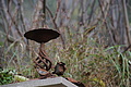 DSC02736 - Bernhard Saalfeld