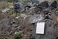 DSC02737 - Bernhard Saalfeld