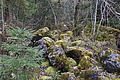 DSC02738 - Bernhard Saalfeld