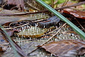 DSC02740 - Bernhard Saalfeld