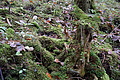 DSC02743 - Bernhard Saalfeld
