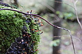 DSC02744 - Bernhard Saalfeld