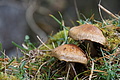 DSC02749 - Bernhard Saalfeld