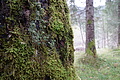 DSC02751 - Bernhard Saalfeld