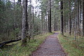 DSC02753 - Bernhard Saalfeld