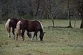 DSC02756 - Bernhard Saalfeld