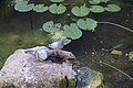 0019-DSC03436 - Bernhard Saalfeld