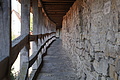 0031-DSC03448 - Bernhard Saalfeld