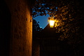 0097-DSC03517 - Bernhard Saalfeld