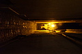 0122-DSC03543 - Bernhard Saalfeld