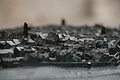 0134-DSC04557 - Bernhard Saalfeld