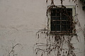 0176-DSC04600 - Bernhard Saalfeld