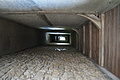 0231-DSC04655 - Bernhard Saalfeld