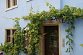 0257-DSC04681 - Bernhard Saalfeld