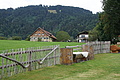 0307-DSC03564 - Bernhard Saalfeld