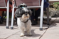0316-DSC03573 - Bernhard Saalfeld