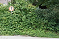 0330-DSC03587 - Bernhard Saalfeld