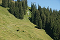 0354-DSC04725 - Bernhard Saalfeld