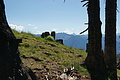 0357-DSC04728 - Bernhard Saalfeld