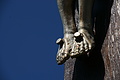 0361-DSC04732 - Bernhard Saalfeld