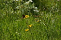 0370-DSC04741 - Bernhard Saalfeld