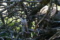 0373-DSC04744 - Bernhard Saalfeld