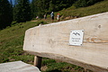 0374-DSC04745 - Bernhard Saalfeld
