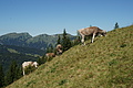 0383-DSC04754 - Bernhard Saalfeld